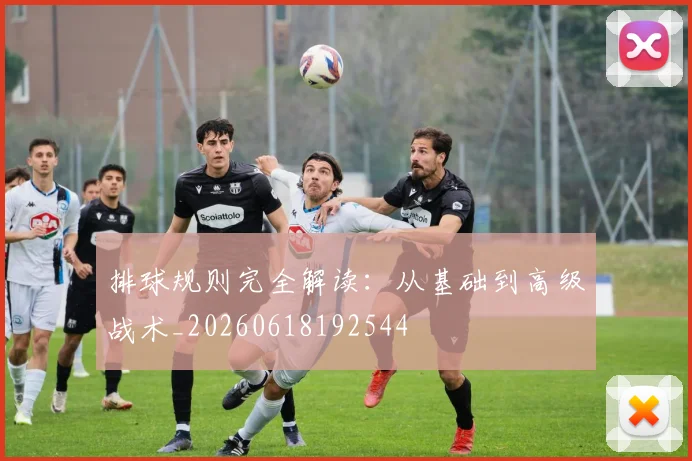 排球规则完全解读：从基础到高级战术_20260618192544