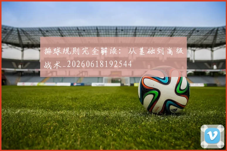 排球规则完全解读：从基础到高级战术_20260618192544